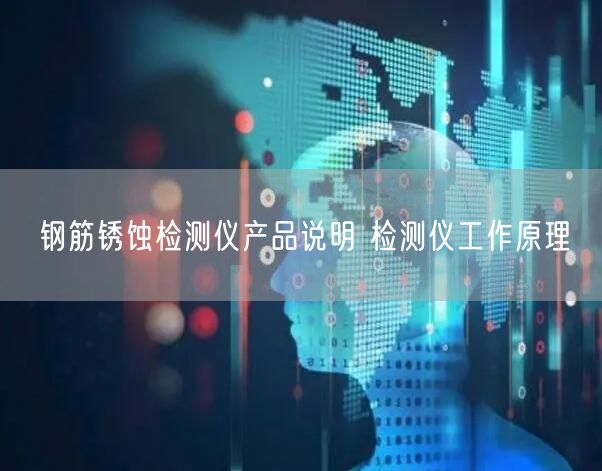 鋼筋銹蝕檢測(cè)儀產(chǎn)品說(shuō)明 檢測(cè)儀工作原理(圖1)