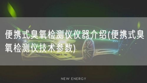 便攜式臭氧檢測儀儀器介紹(便攜式臭氧檢測儀技術參數(shù))(圖1)