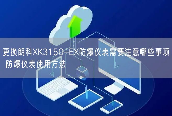 更換朗科XK3150-EX防爆儀表需要注意哪些事項 防爆儀表使用方法(圖1) 更換朗科XK3150-EX防爆儀表需要注意哪些事項 防爆儀表使用方法(圖1)