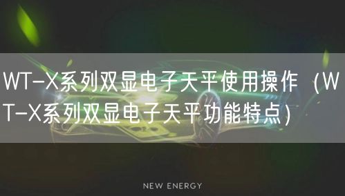 WT-X系列雙顯電子天平使用操作（WT-X系列雙顯電子天平功能特點(diǎn)）(圖1)
