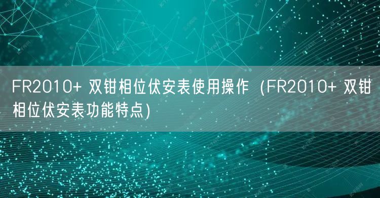 FR2010+ 雙鉗相位伏安表使用操作（FR2010+ 雙鉗相位伏安表功能特點）(圖1)