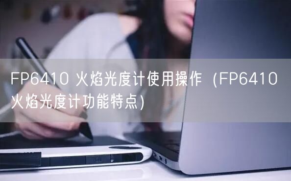 FP6410 火焰光度計使用操作（FP6410 火焰光度計功能特點）(圖1)