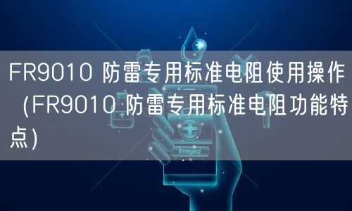 FR9010 防雷專用標準電阻使用操作（FR9010 防雷專用標準電阻功能特點）(圖1)